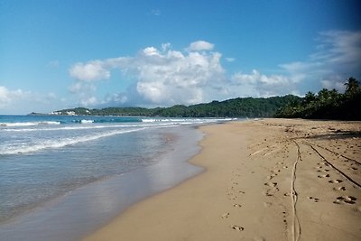 Bungalow de Ballenas