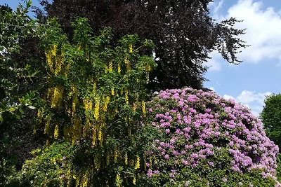 Wassermühle Stemmen