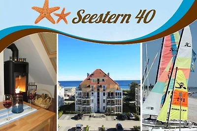 Seestern 40
