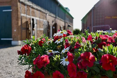 Vakantieappartement Gezinsvakantie Burg auf Fehmarn
