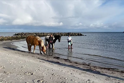 Appartement Vacances avec la famille Schönberg