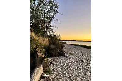 Reethaus "Buntspecht"