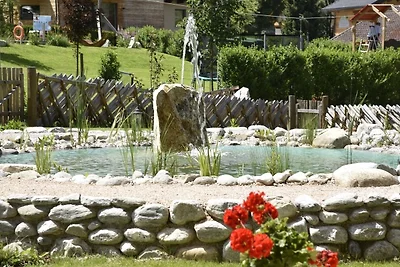 Chalet Nähe Skigebiete Flachau und