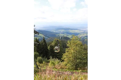 Ferienwohnung Schwarzwaldtraum -
