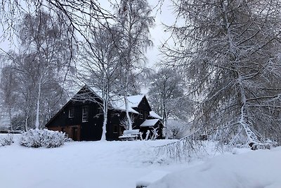 Vakantiehuis Ontspannende vakantie Klingenthal