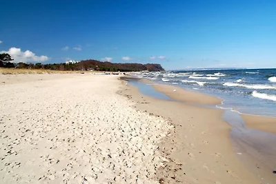 Vakantiehuis Ontspannende vakantie Baabe