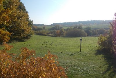 Ferienhäuser am Vogelpark -