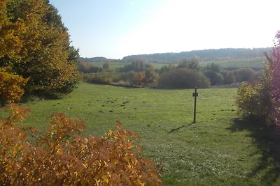 Ferienhäuser am Vogelpark -