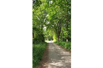 Appartement Schomaker-Fatmann