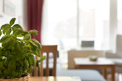 An der Aue 4a Albrecht