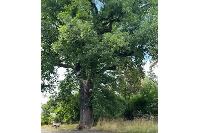 Appartamento Vacanza con famiglia Marburg