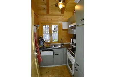 Blockhaus Hedwig Haus 4