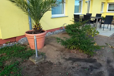 Vakantieappartement Gezinsvakantie Ückeritz