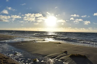 Ferienhaus Schäferhund