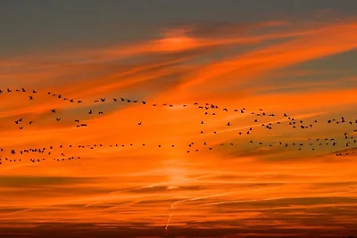 Casa vacanze Vacanza di relax Putgarten