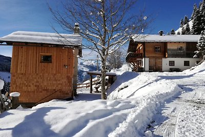 Almhütte Nähe Skigebiet