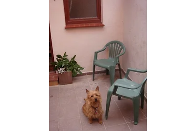 Ferienhaus Sprottenfang