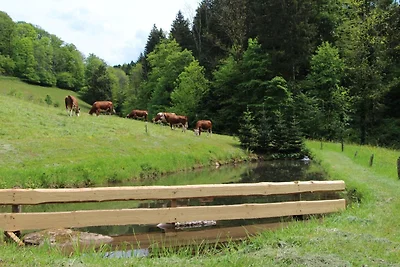 Appartamento Vacanza con famiglia Oberharmersbach