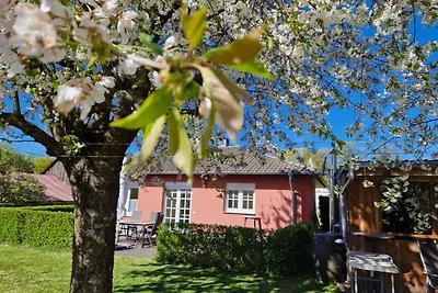 Ferienhaus SIGGI