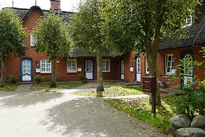 Haus Bornholm Whg 23