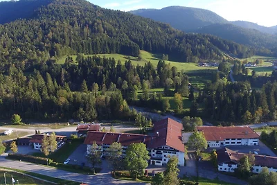 Alpendohle