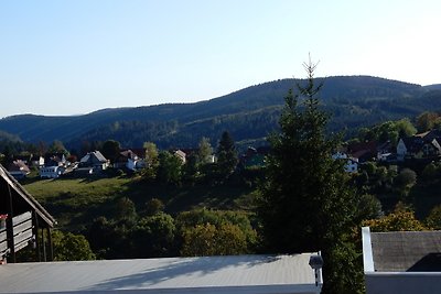 Fünf Harzer Berge, Fewo Matthias