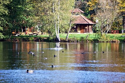 Vakantieappartement Gezinsvakantie Südwestpfalz