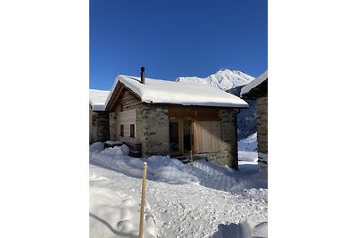 Vakantiehuis Ontspannende vakantie Vals-Valsertal