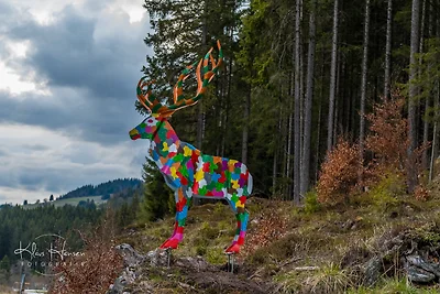 Vakantieappartement Gezinsvakantie Titisee-Neustadt