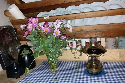 Unterkofler Almhütte