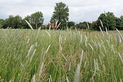Ferienhaus Landschaft