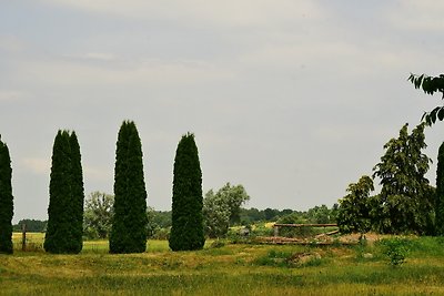 Behaglicher Bungalow für Mensch