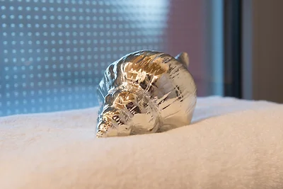 Entspanntes Wohnen auf Zeit -