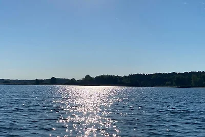 Seerose