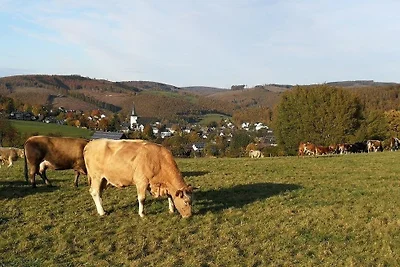 Appartamento Vacanza con famiglia Wilnsdorf