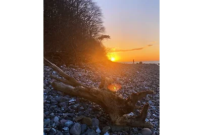 Ferienwohnung SCHWALBENNEST