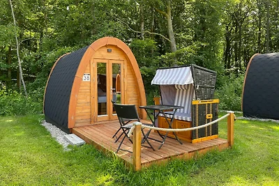 38 Mini Pod "Arlau"