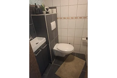 Ferienhaus im Odertal