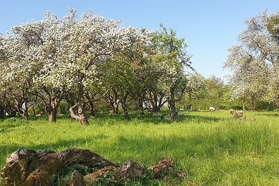 Ferienwohnung "Backsteinhaus