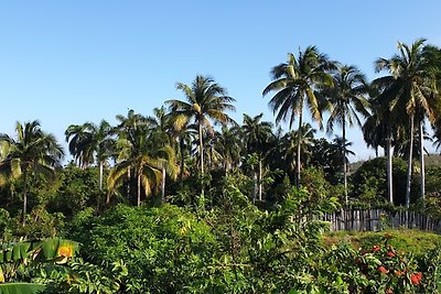 Vakantieappartement Gezinsvakantie Baracoa