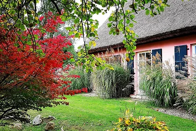 Hof Garz Wohnung Rosengarten