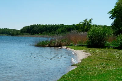 Ferienhaus in Waren Müritz