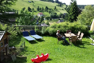 Appartamento Vacanza con famiglia Todtnau
