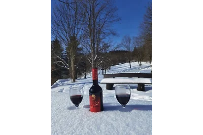 Sauerland-Alm/Winterberg