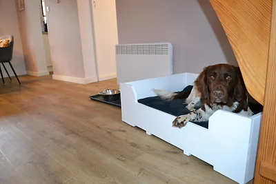 Kuća za odmor Dopust za oporavak Friedrichskoog