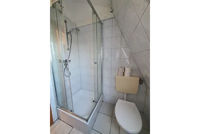 Wombat (1-2 Personen)