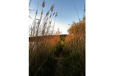 301-Tiny Hideaway