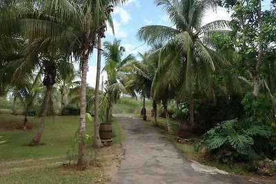 Finca Neo Appartement 2