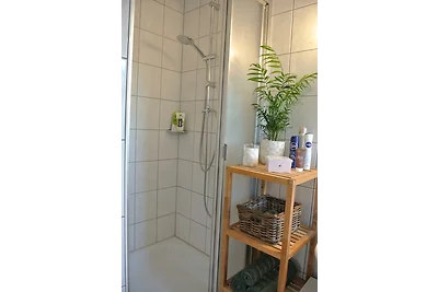 Rheinau Apartment