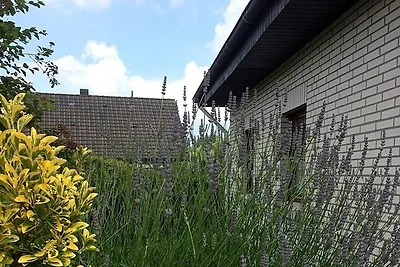 Ferienhaus Waterblick